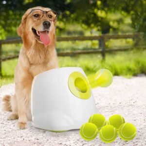 Automatic Dog Ball Launcher